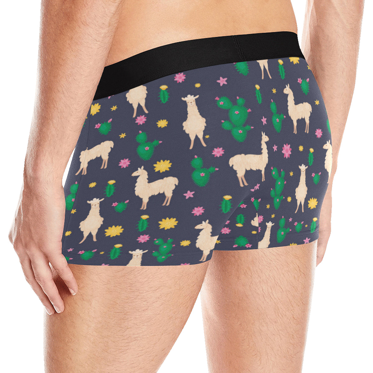 Llama Cactus Pattern Print Design 012 Men's Boxer Briefs