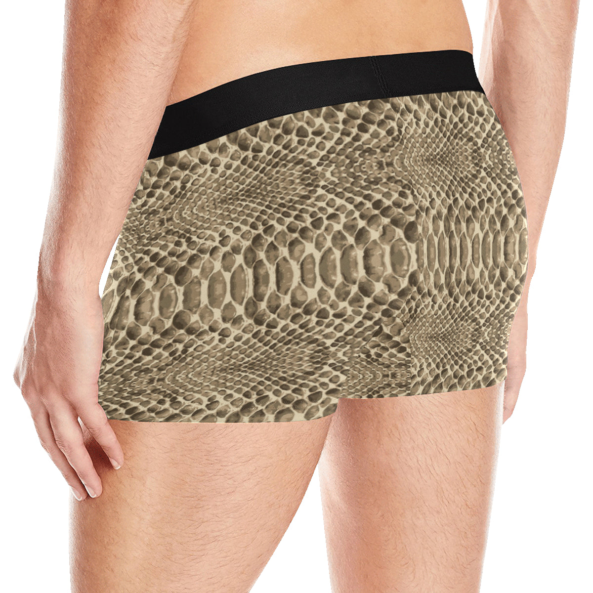Python Pattern Print Design A02 Men's Boxer Briefs