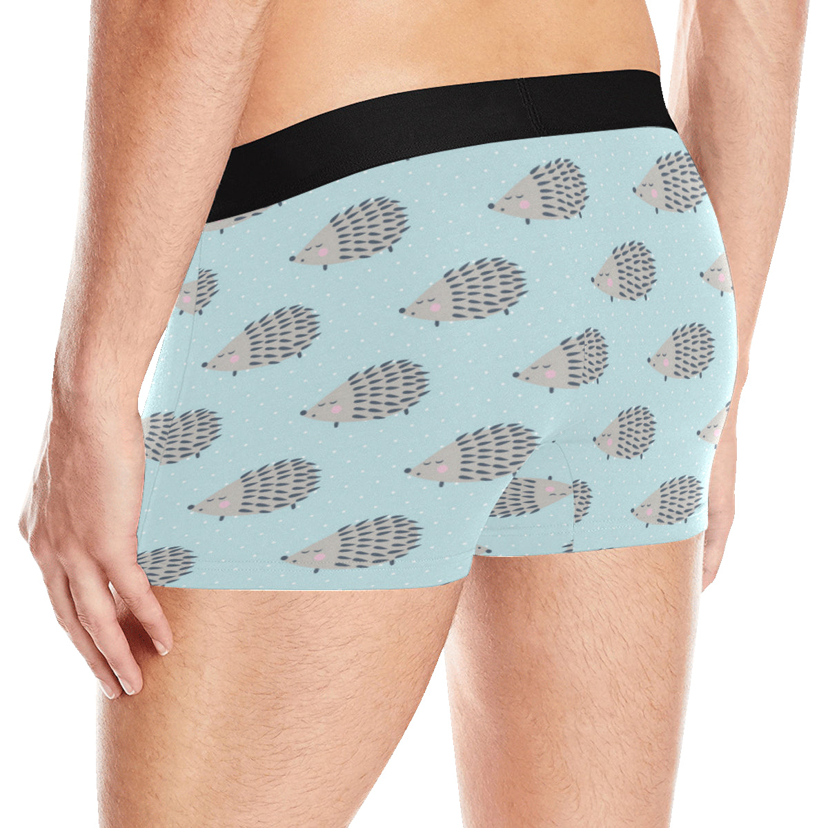 Hedgehog Pattern Print Design 02 Men's Boxer Briefs