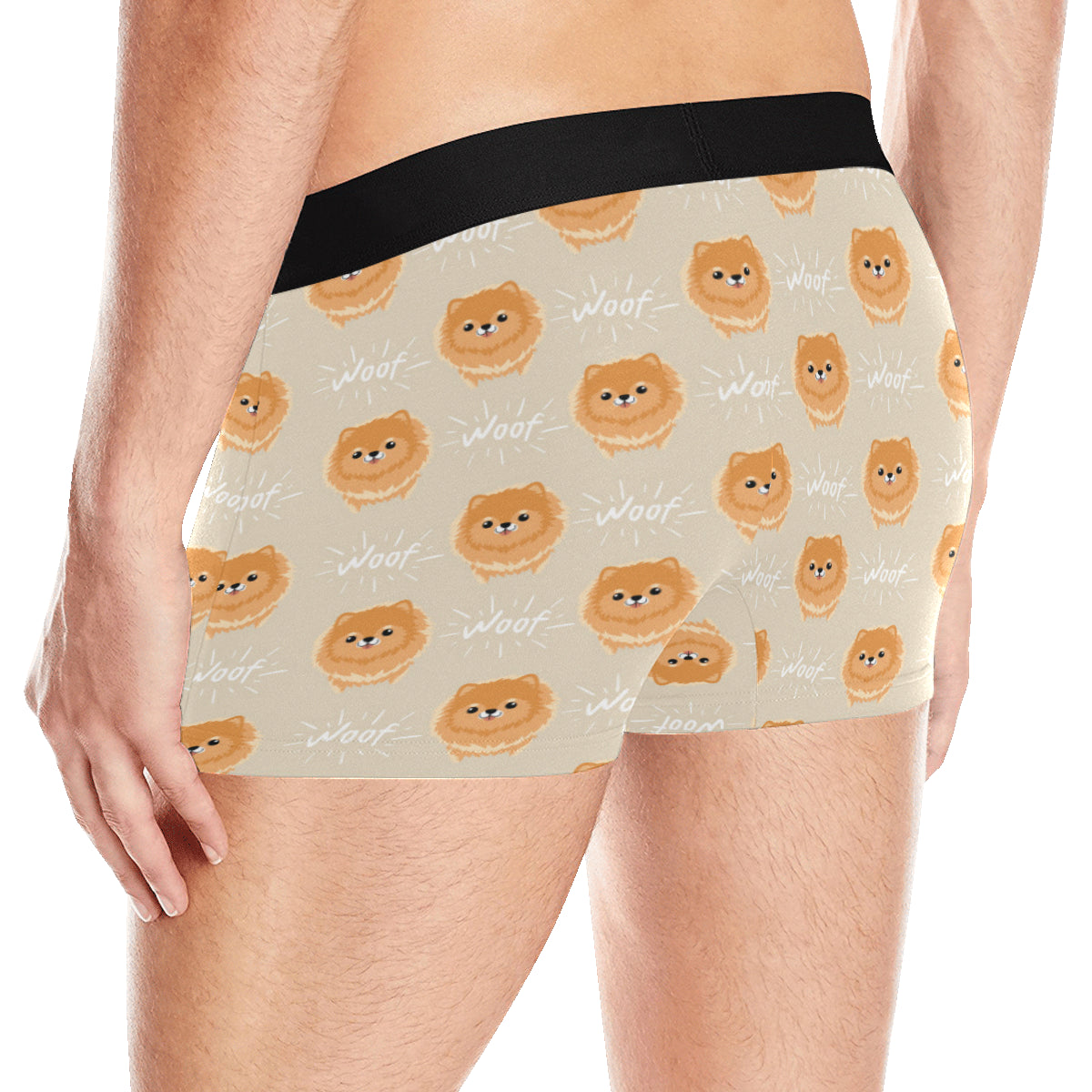 Pomeranians Pattern Print Design A04 Men's Boxer Briefs