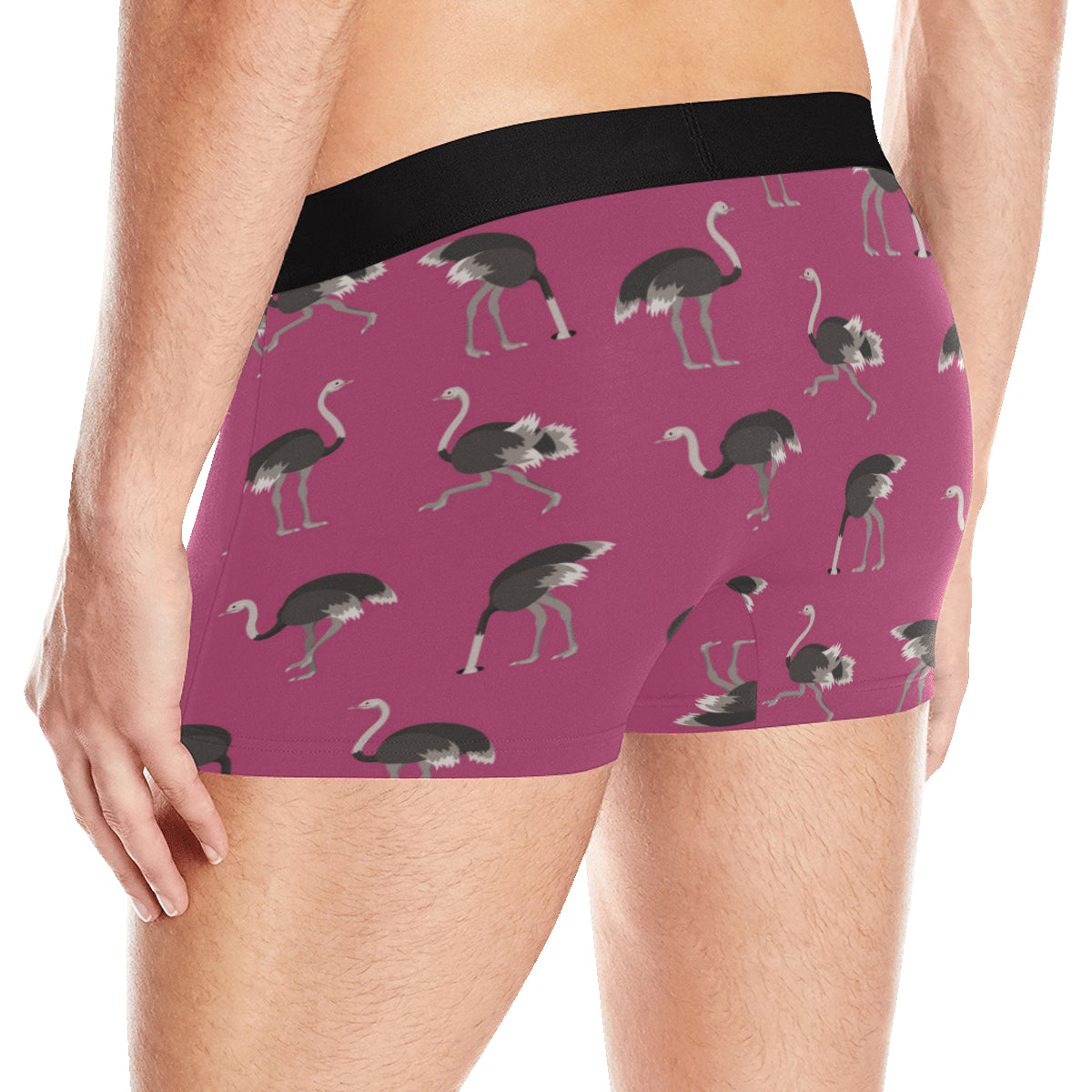 Emu Pattern Print Design 02 Men's Boxer Briefs