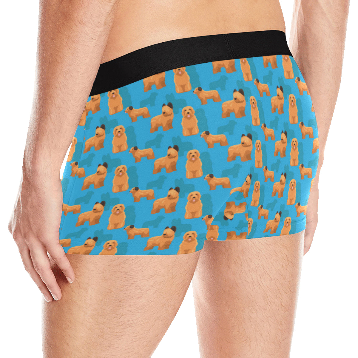 Briards Pattern Print Design 01 Men's Boxer Briefs