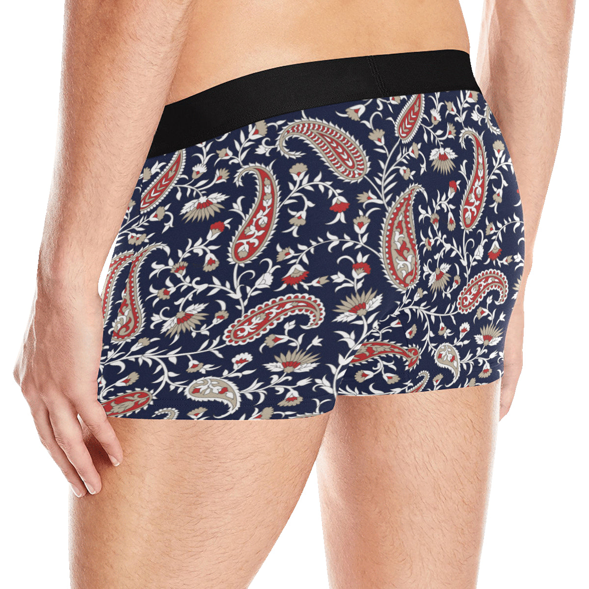 Paisley Pattern Print Design A05 Men's Boxer Briefs