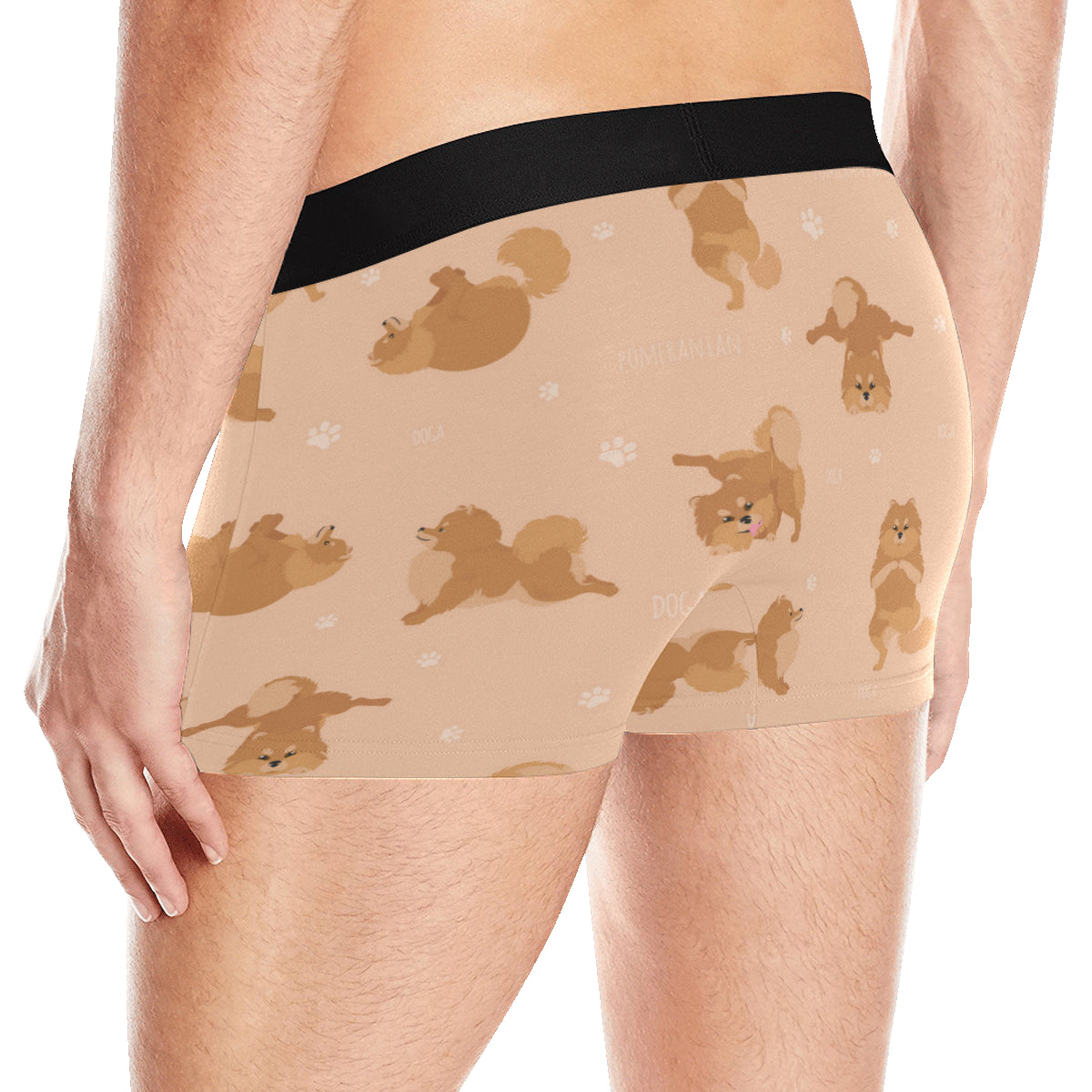 Pomeranians Pattern Print Design A06 Men's Boxer Briefs
