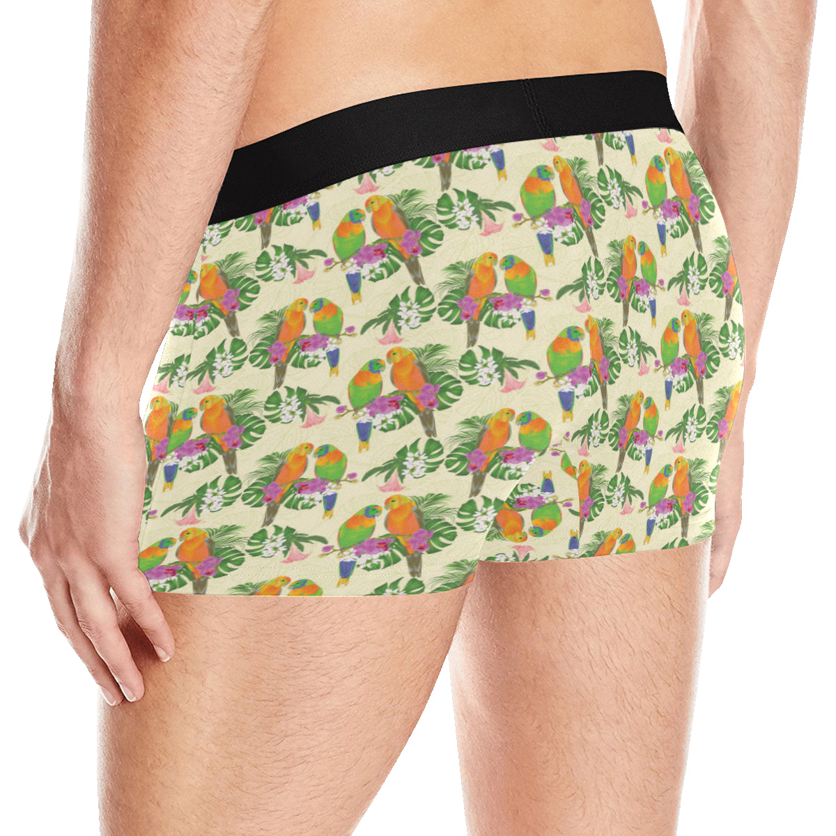 Conures Pattern Print Design 02 Men's Boxer Briefs