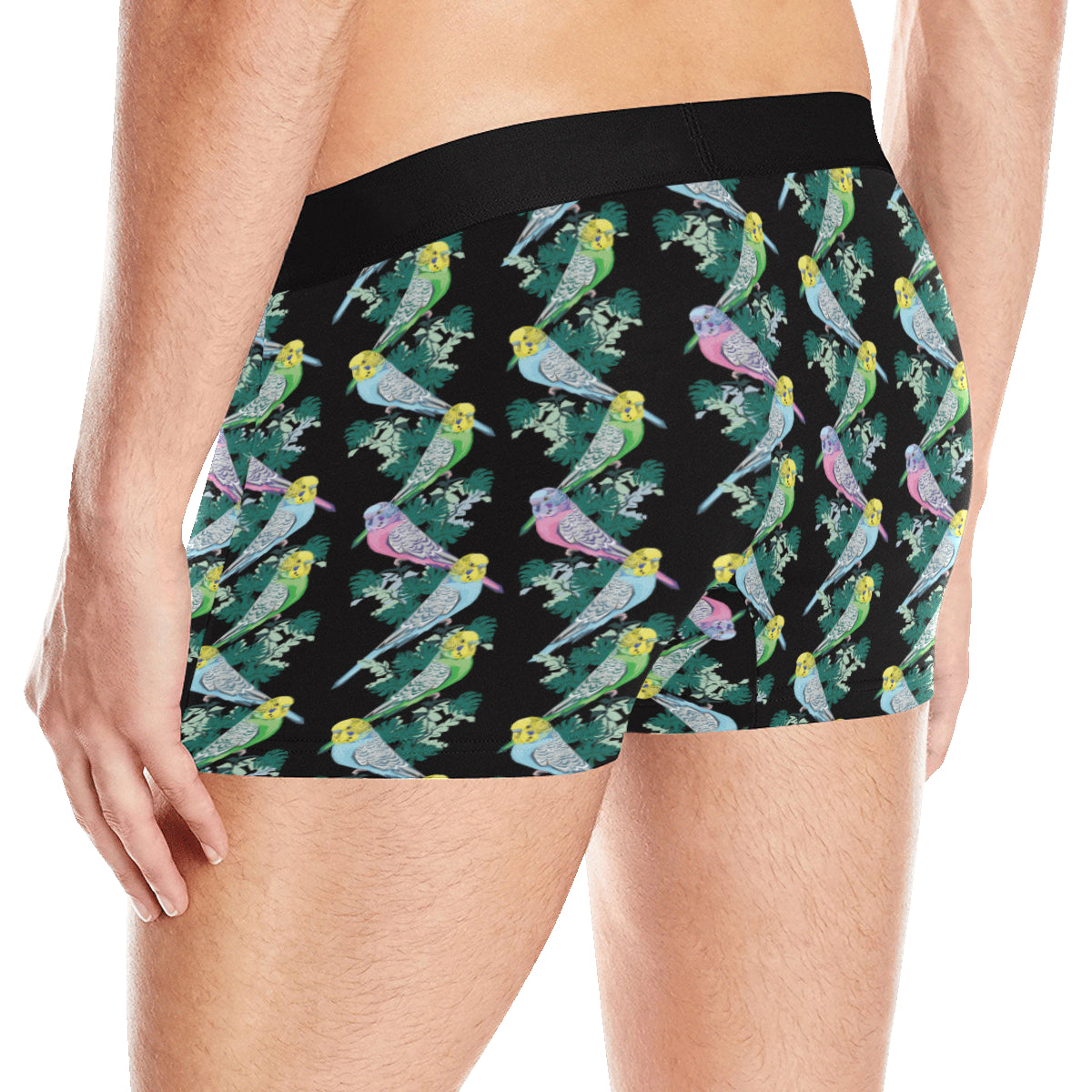 Budgerigar Pattern Print Design 03 Men's Boxer Briefs