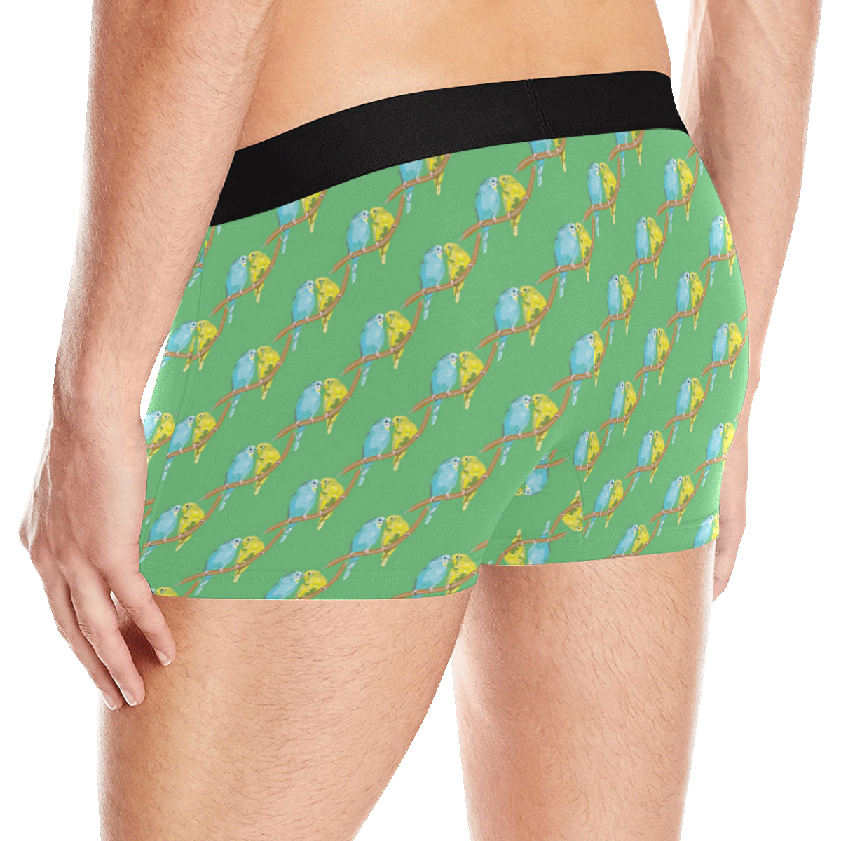 Budgerigar Pattern Print Design 01 Men's Boxer Briefs