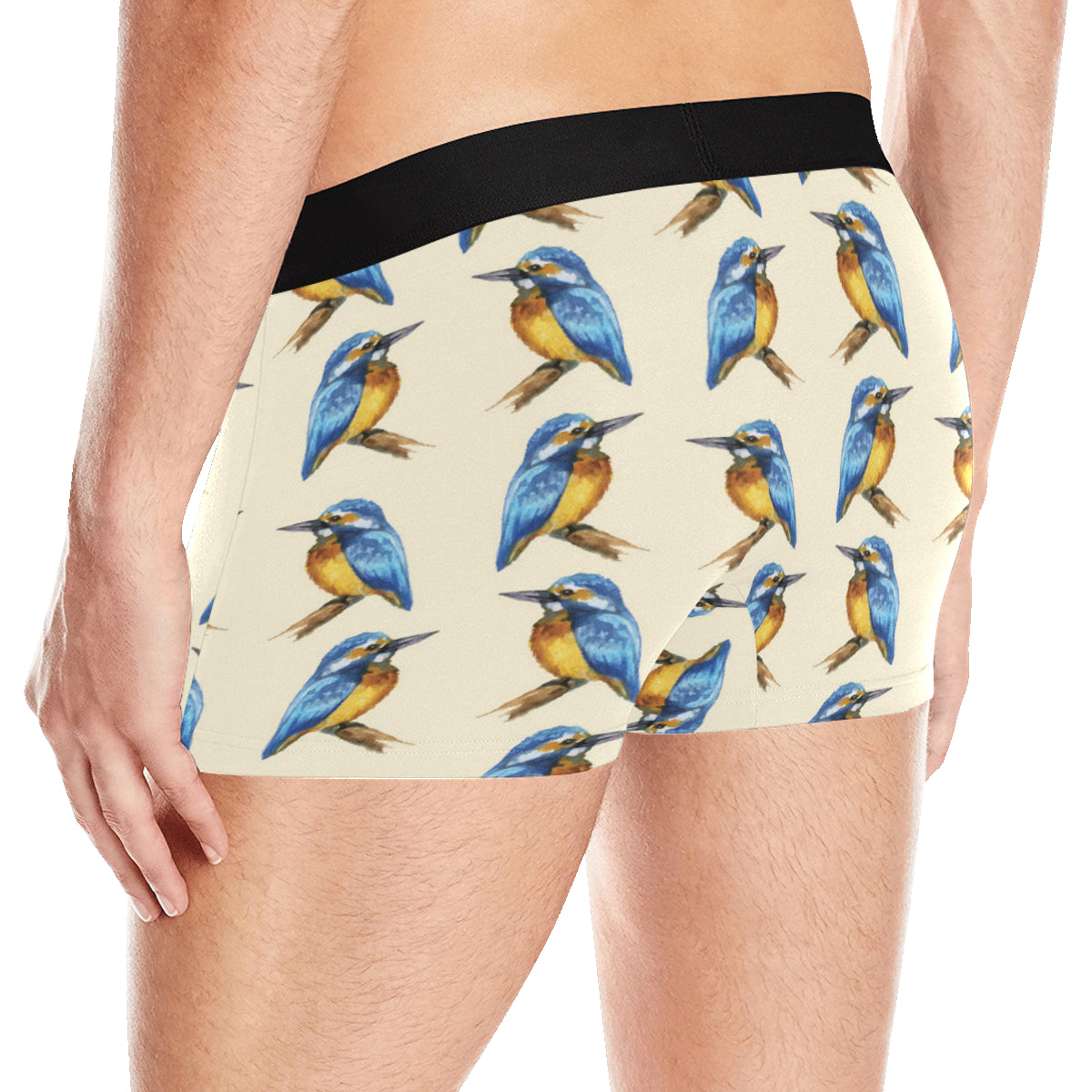 Kingfisher Pattern Print Design 01 Men's Boxer Briefs