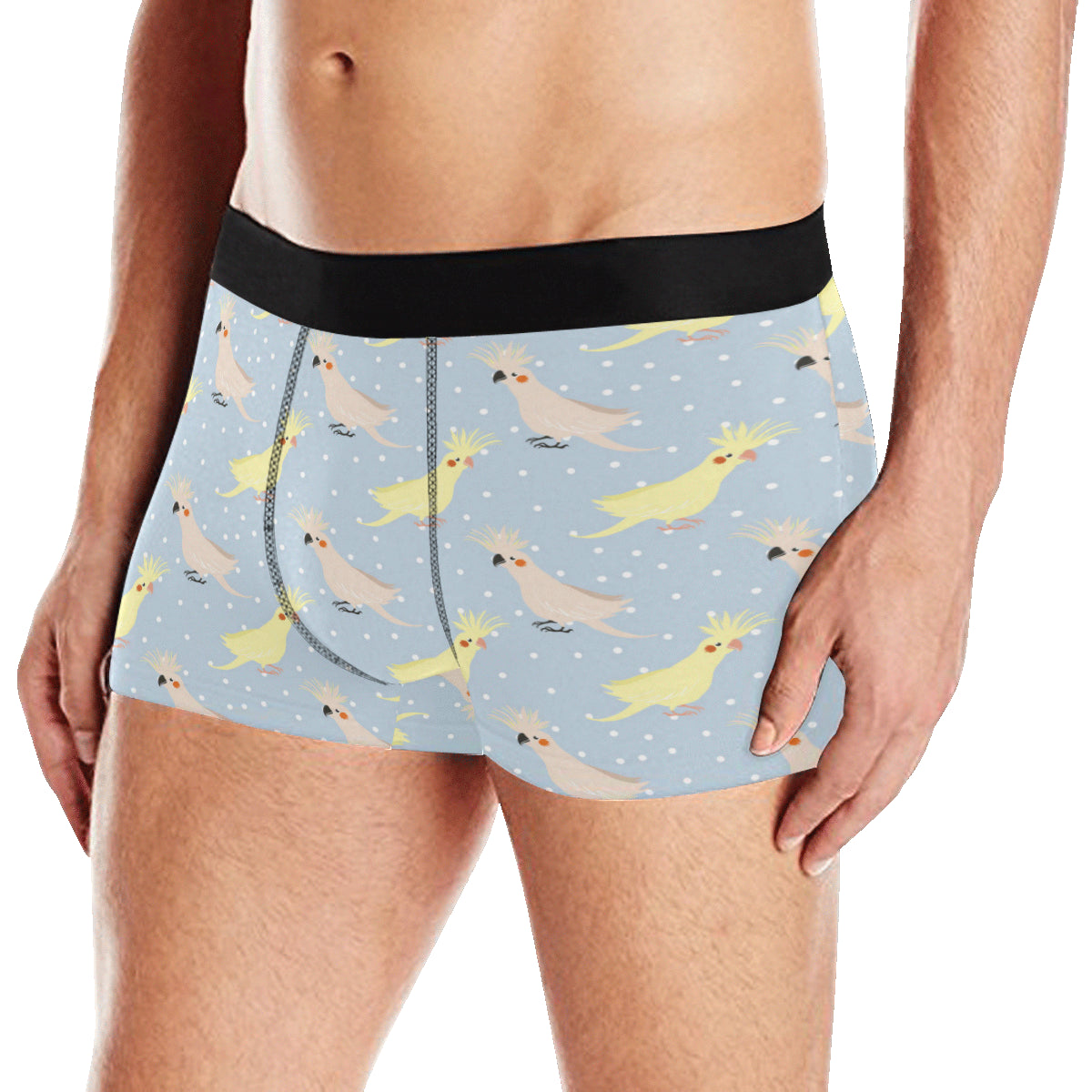 Cockatiel Pattern Print Design 03 Men's Boxer Briefs