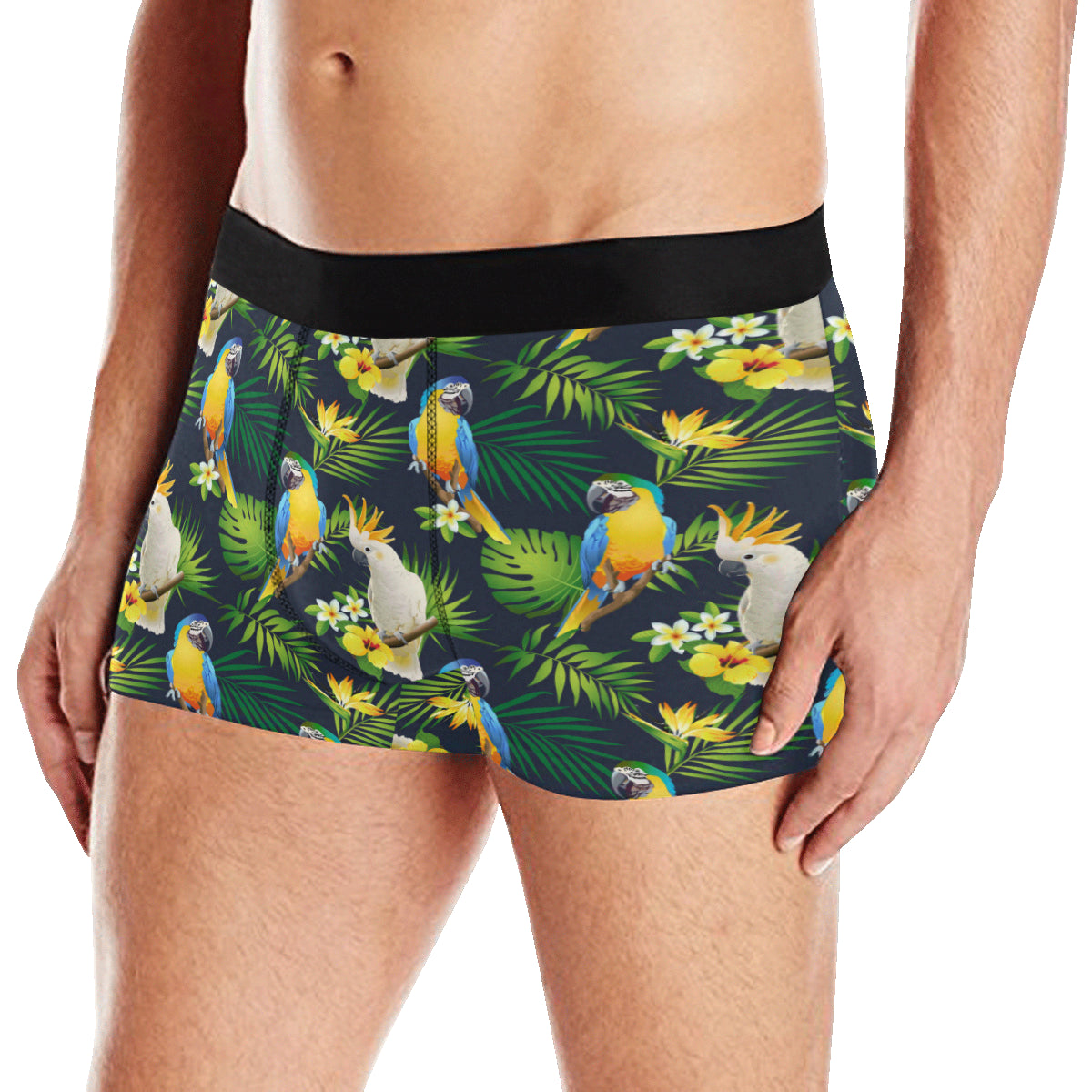 Parrot Pattern Print Design A03 Men's Boxer Briefs