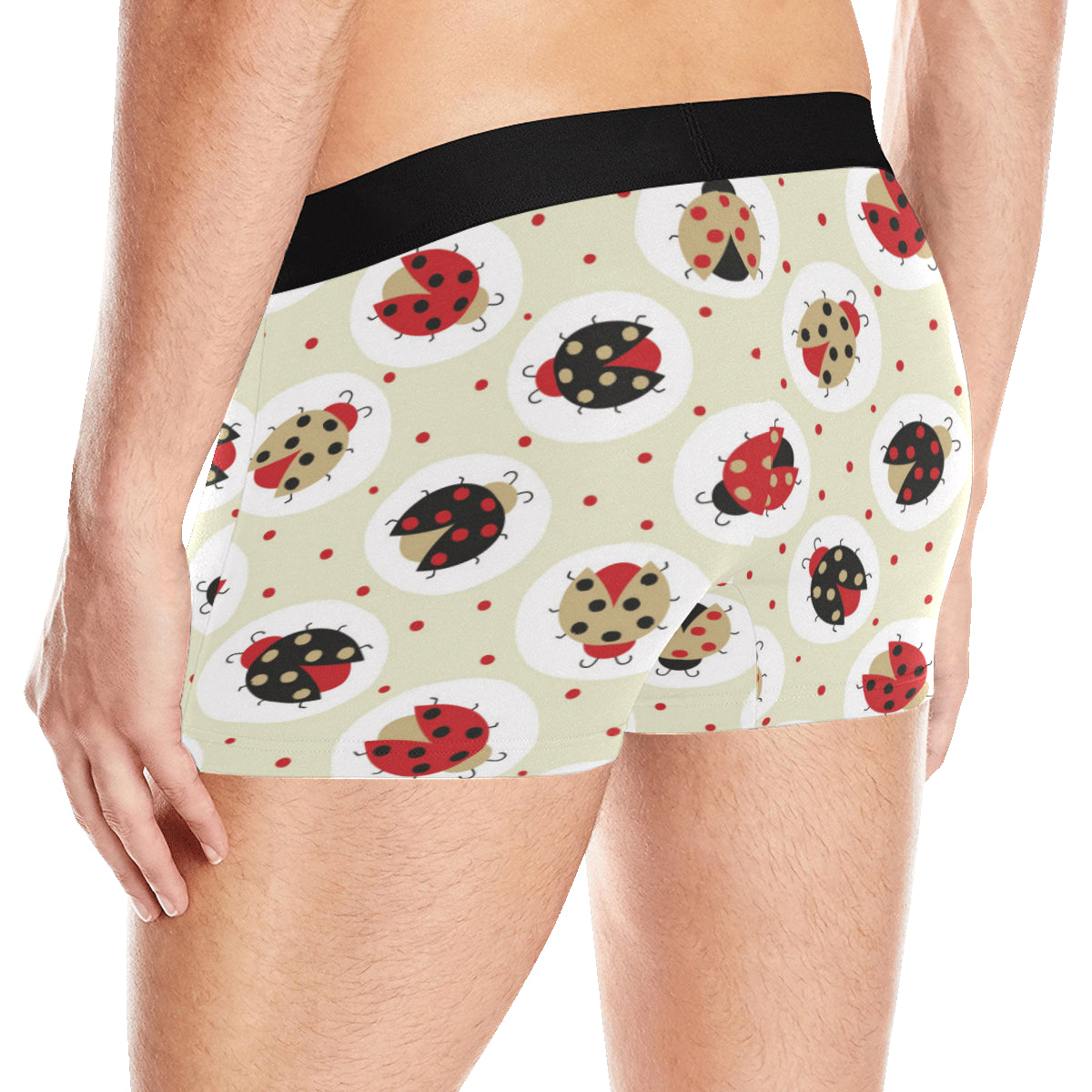 Ladybug Pattern Print Design 03 Men's Boxer Briefs