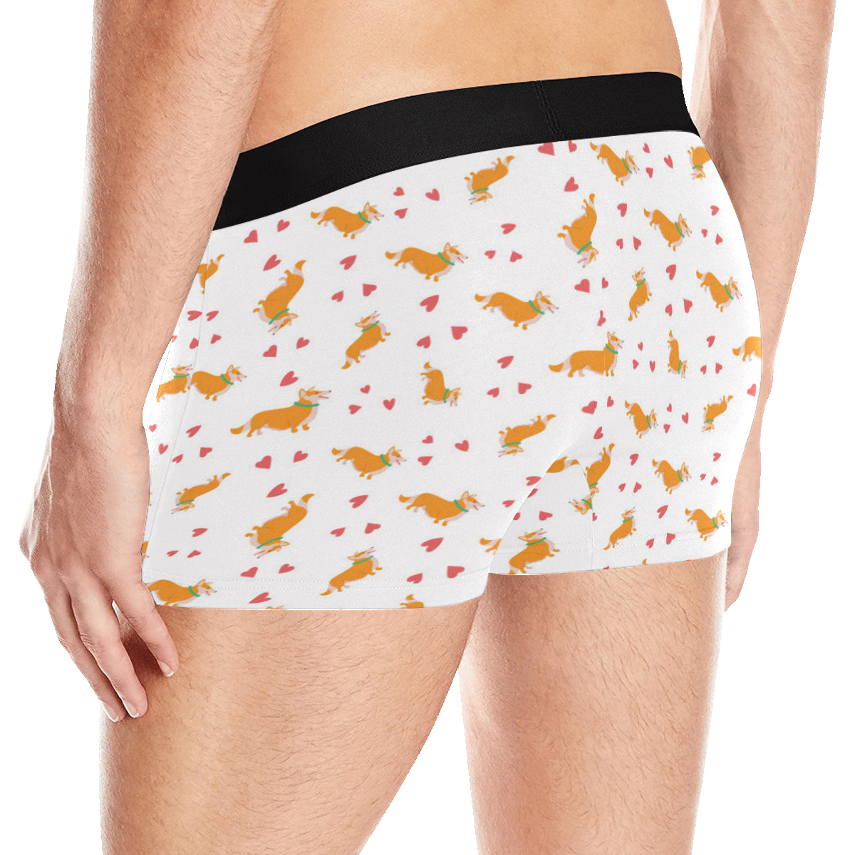 Cardigan Welsh Corgis Pattern Print Design 04 Men's Boxer Briefs
