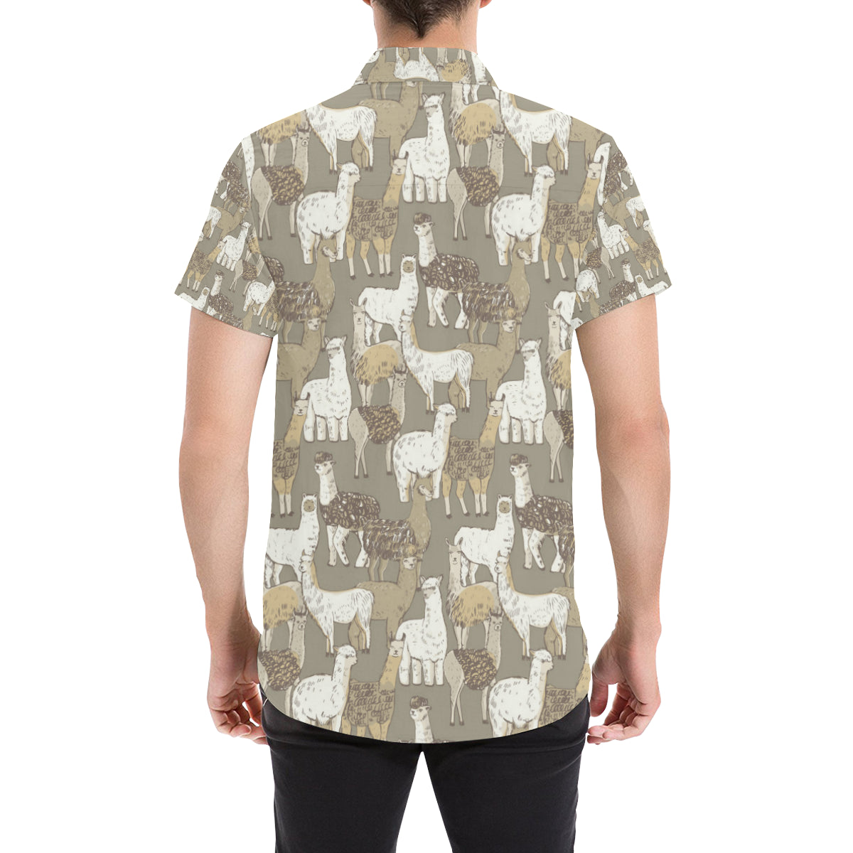 Alpaca Pattern Print Design 01 Men's Short Sleeve Button Up Shirt