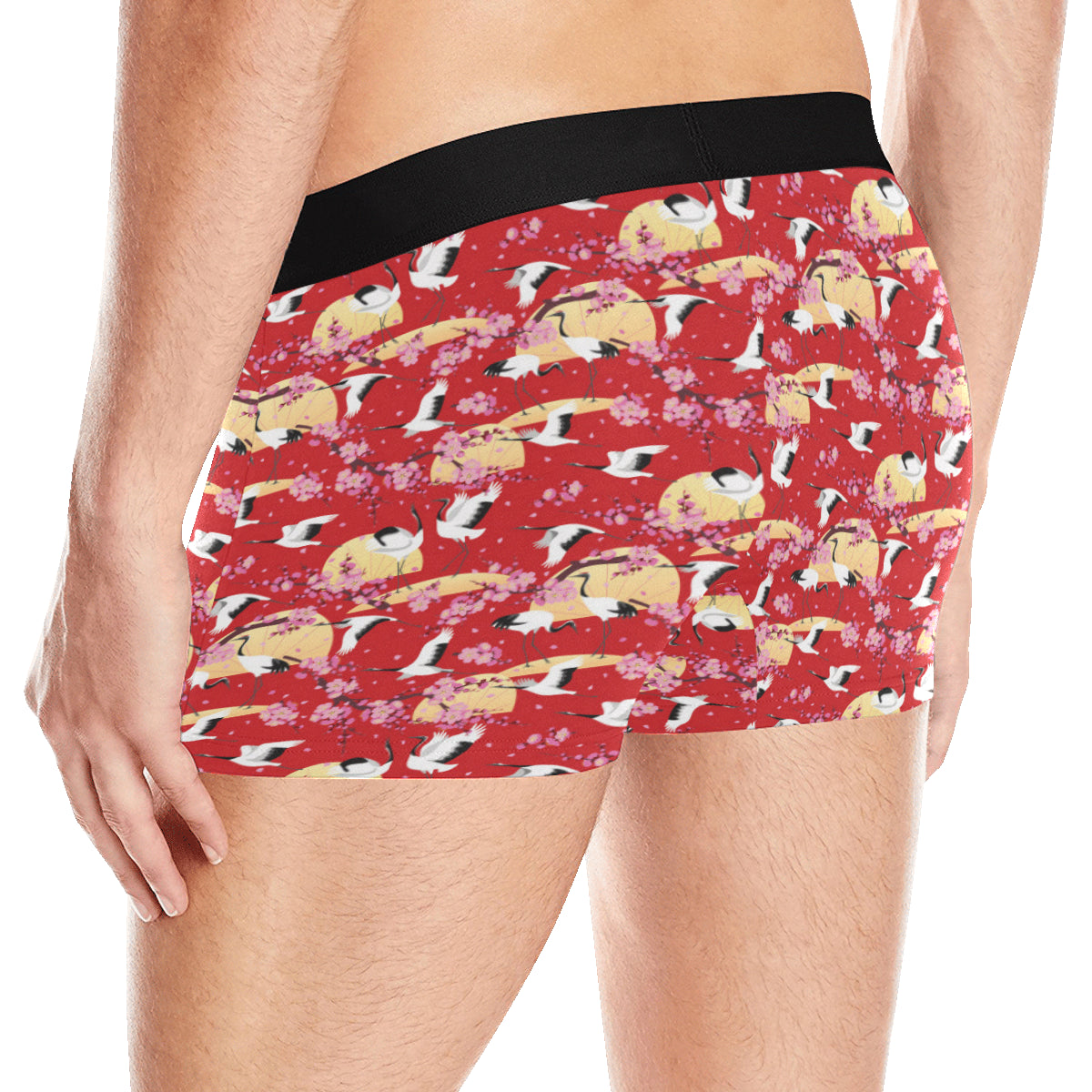 Crane Pattern Print Design 04 Men's Boxer Briefs