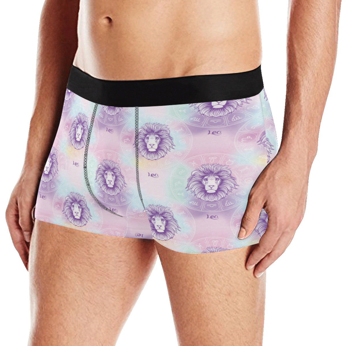 Leo Pattern Print Design 03 Men's Boxer Briefs