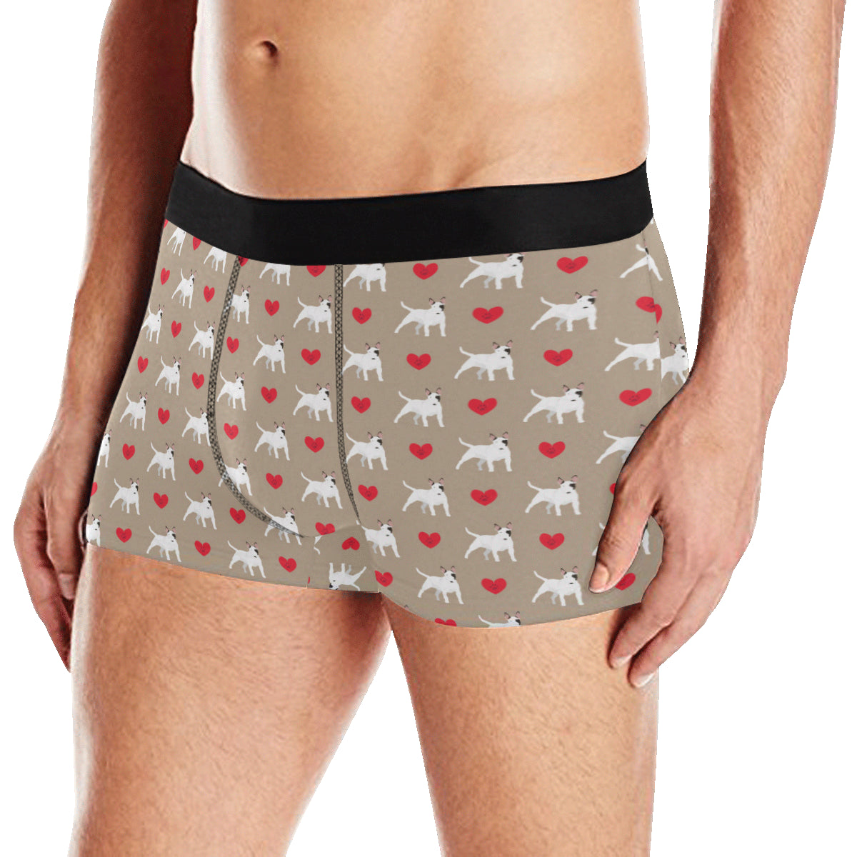 Bull Terriers Pattern Print Design 01 Men's Boxer Briefs
