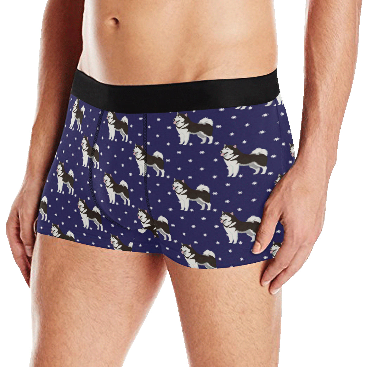 Alaskan Malamute Pattern Print Design 04 Men's Boxer Briefs