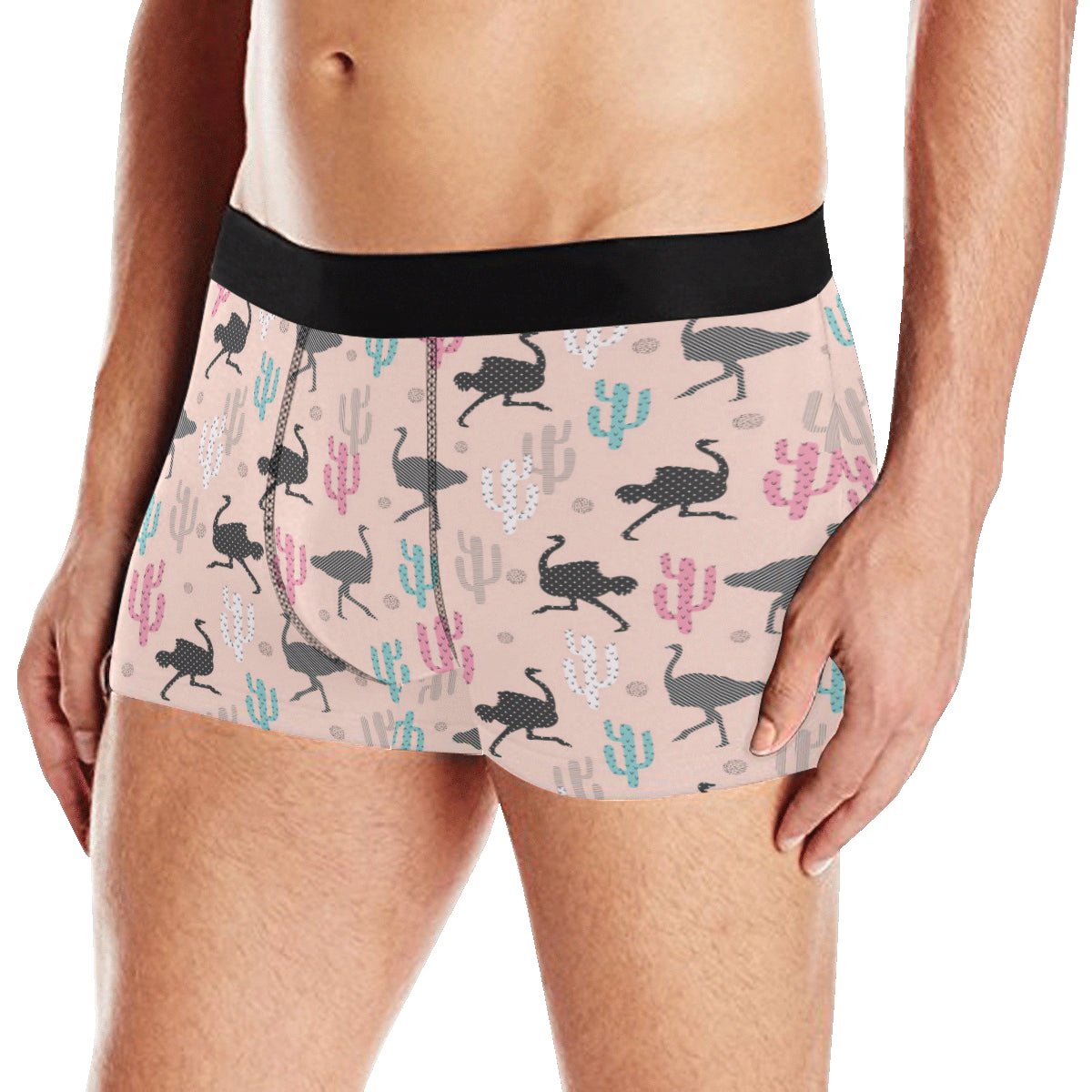 Ostrich Pattern Print Design 03 Men's Boxer Briefs