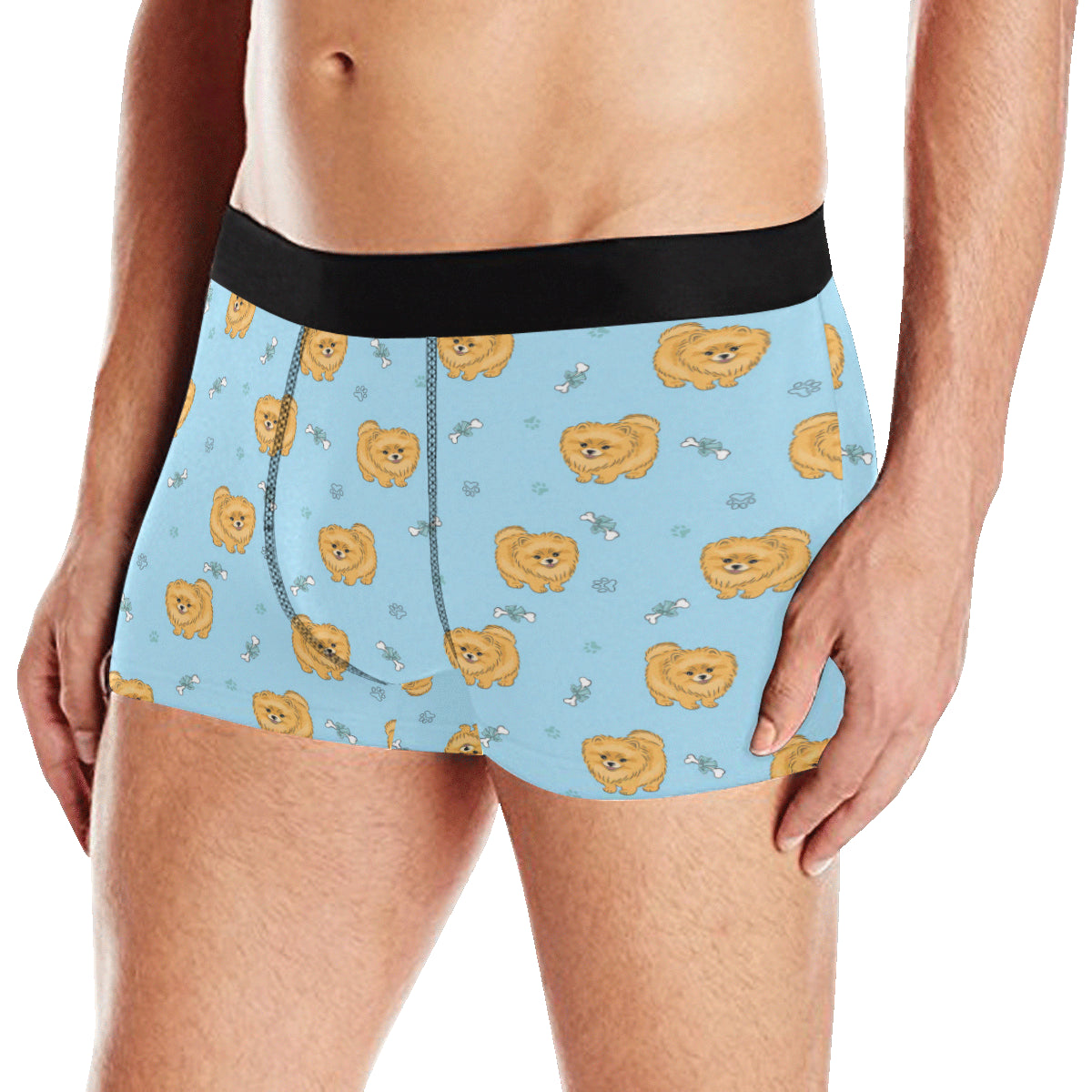 Pomeranians Pattern Print Design A03 Men's Boxer Briefs