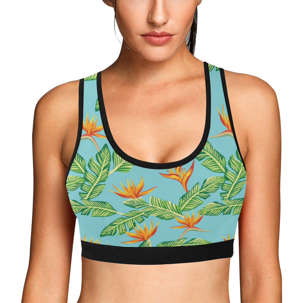 Bird Of Paradise Pattern Print Design BOP04 Sports Bra