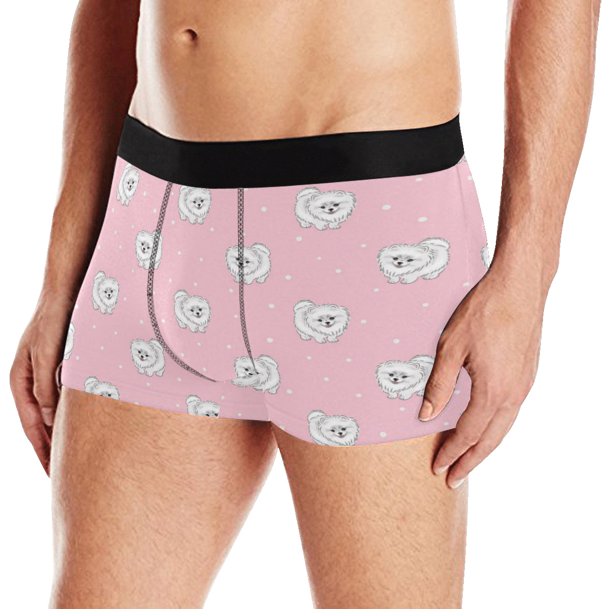 Pomeranians Pattern Print Design A02 Men's Boxer Briefs
