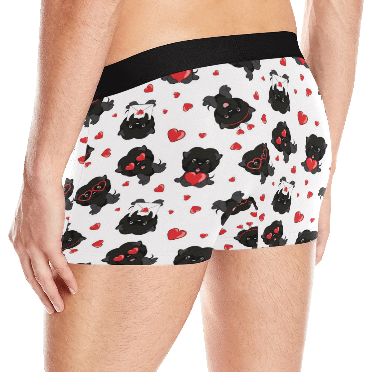 Affenpinscher Pattern Print Design 01 Men's Boxer Briefs
