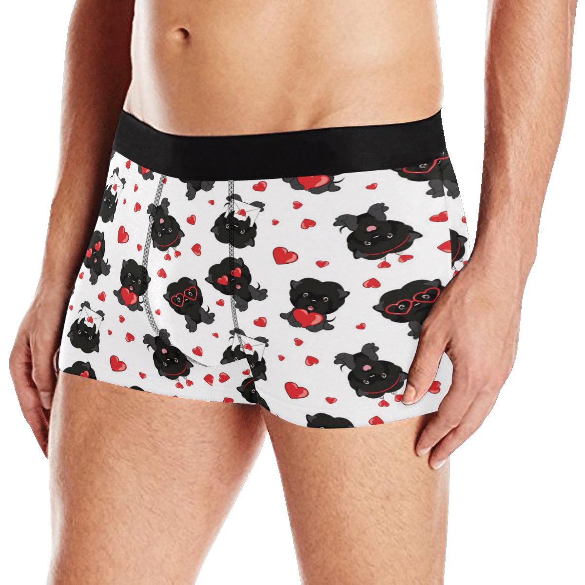 Affenpinscher Pattern Print Design 01 Men's Boxer Briefs