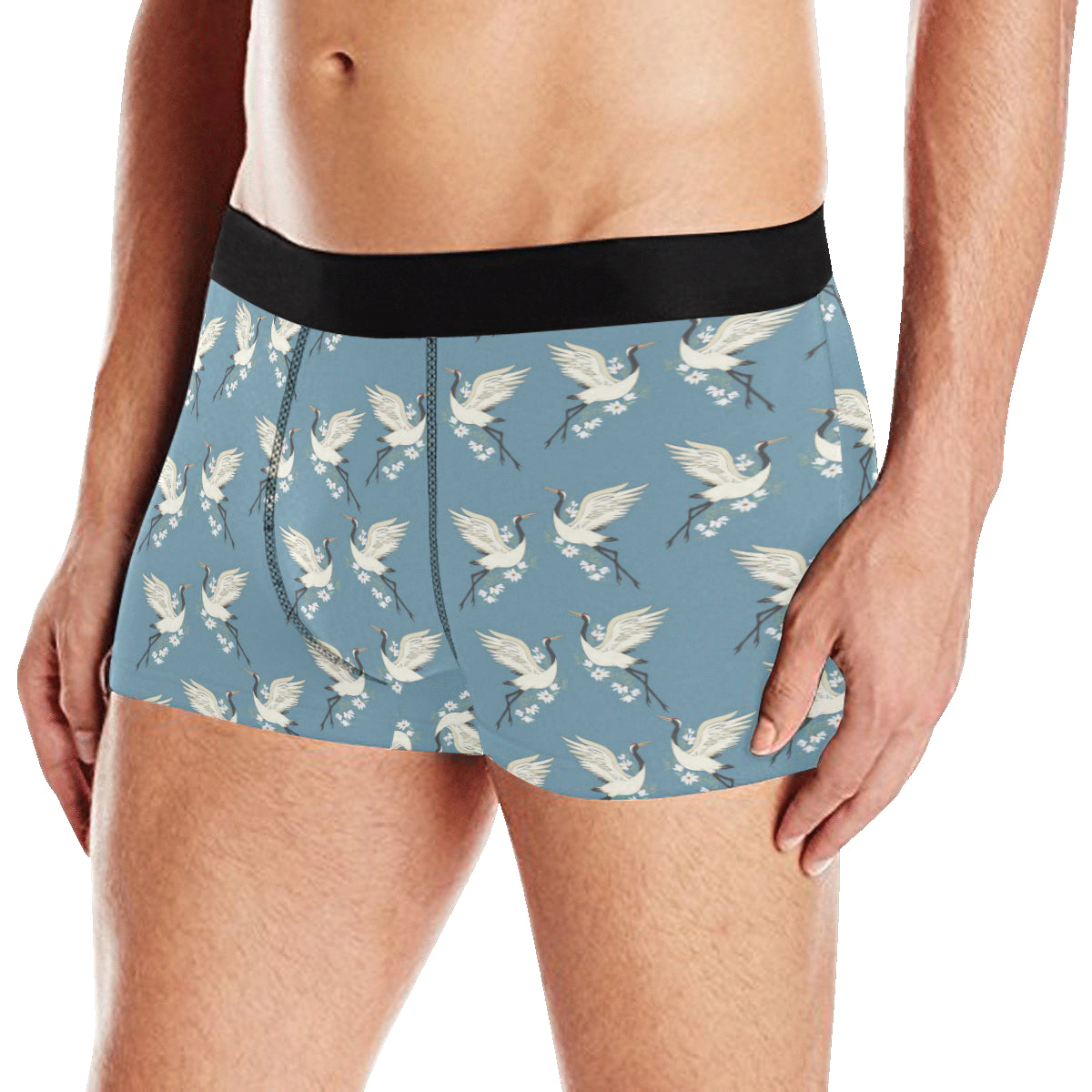 Crane Pattern Print Design 05 Men's Boxer Briefs