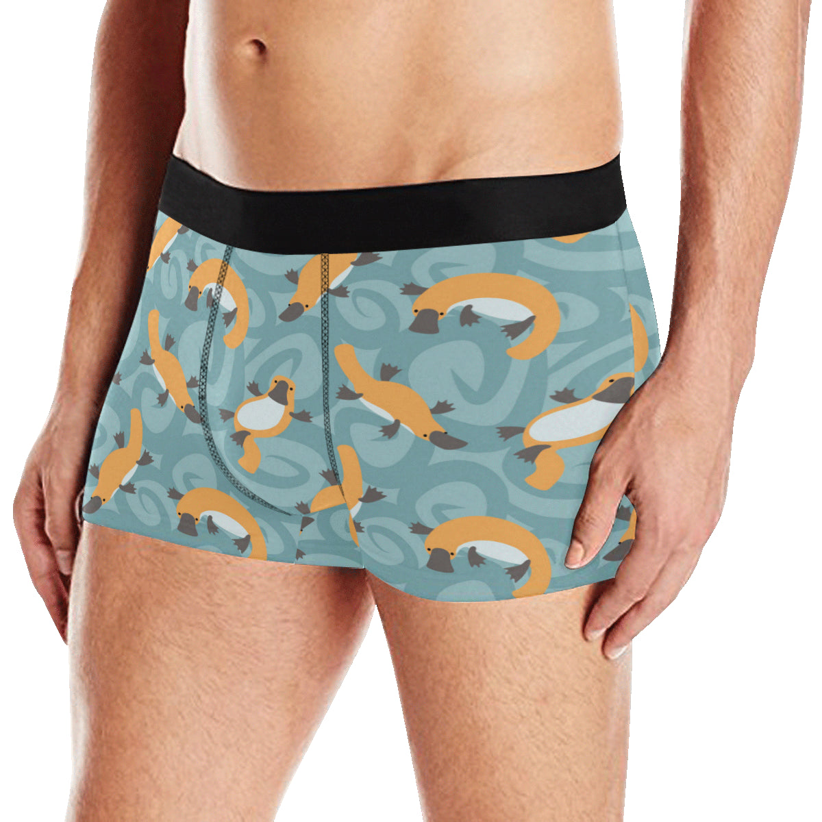 Platypus Pattern Print Design A01 Men's Boxer Briefs