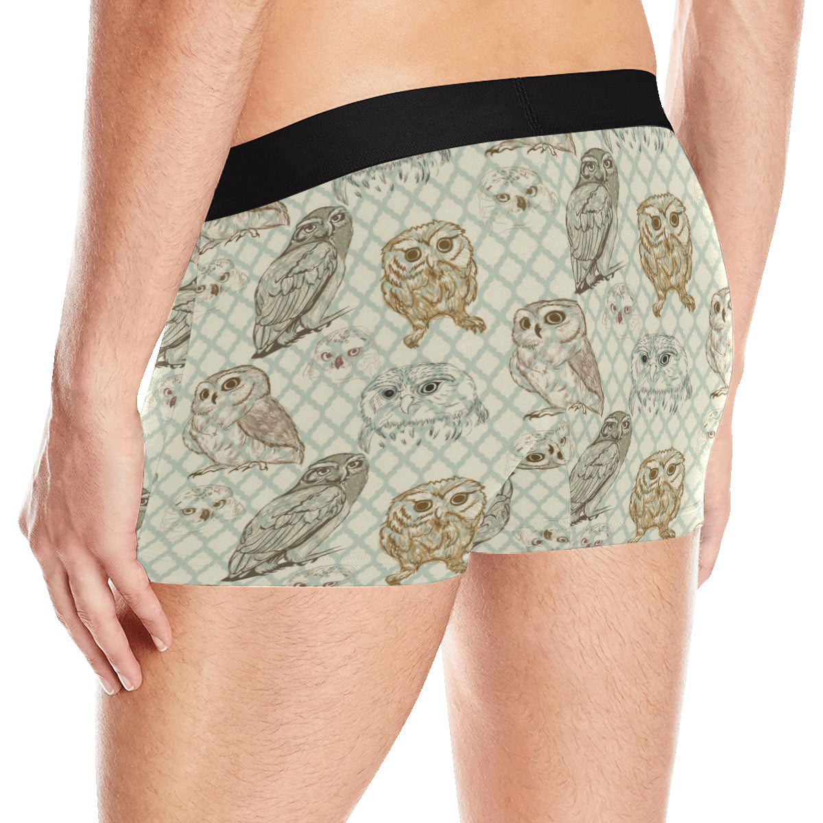Owl Pattern Print Design A03 Men's Boxer Briefs