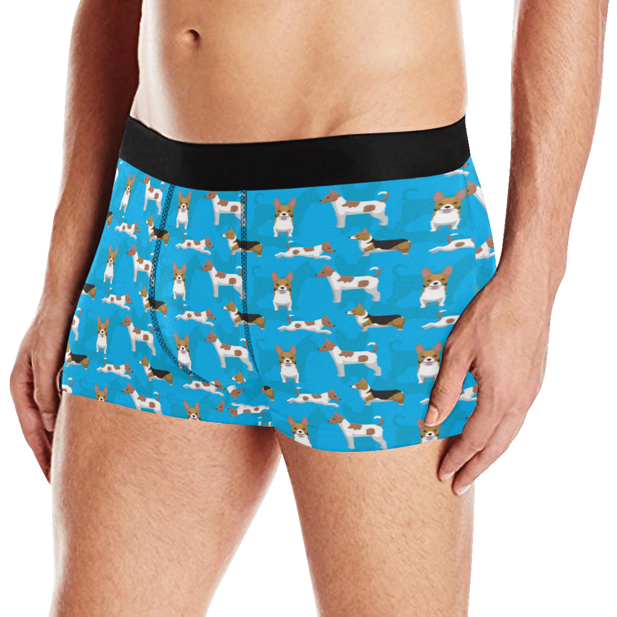 Cardigan Welsh Corgis Pattern Print Design 01 Men's Boxer Briefs