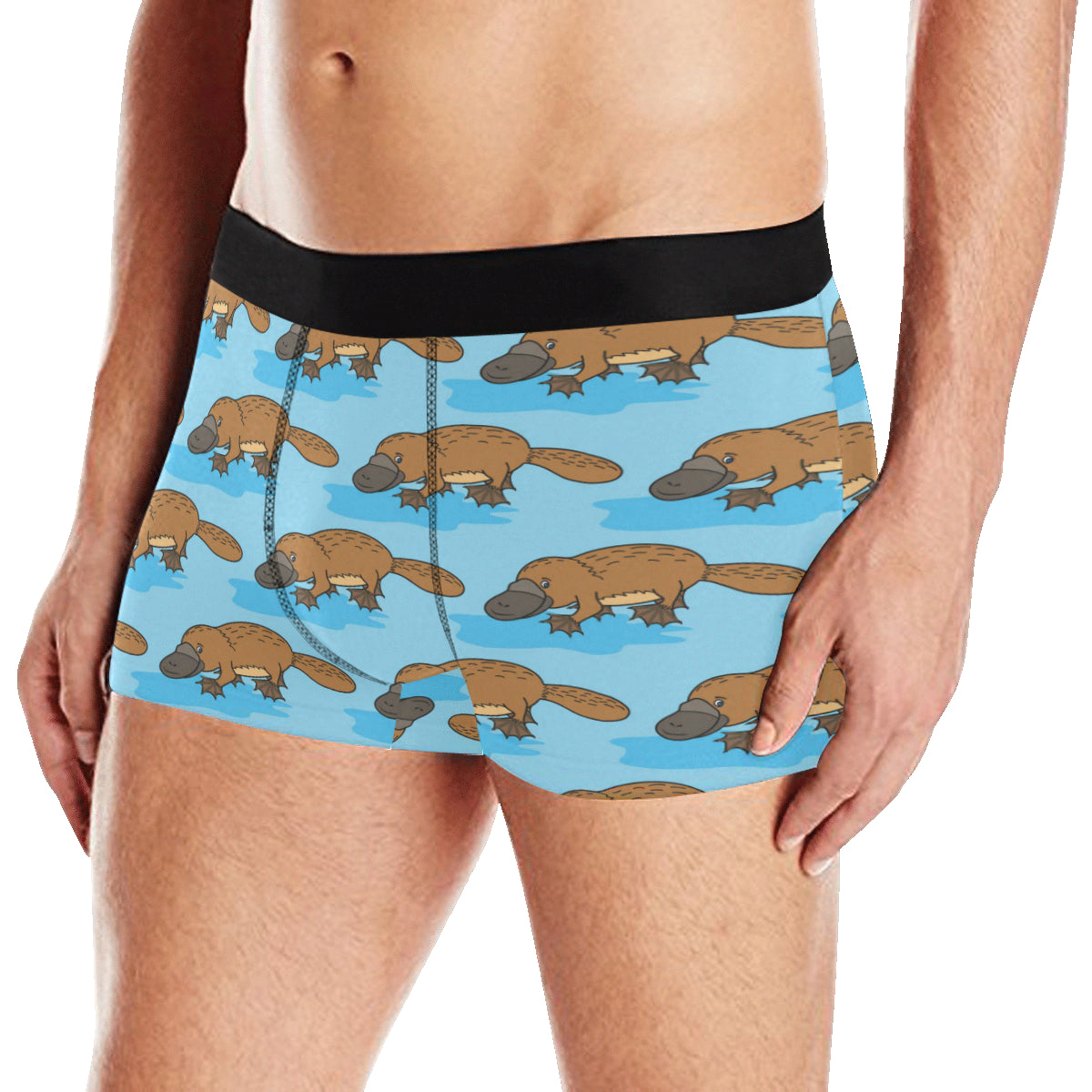 Platypus Pattern Print Design A02 Men's Boxer Briefs