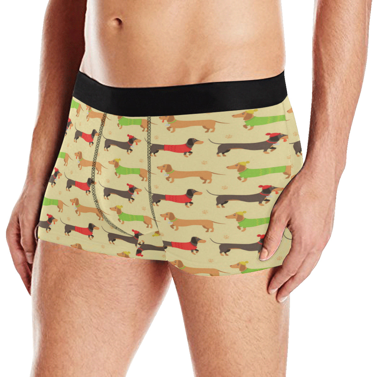 Dachshund Pattern Print Design 06 Men's Boxer Briefs
