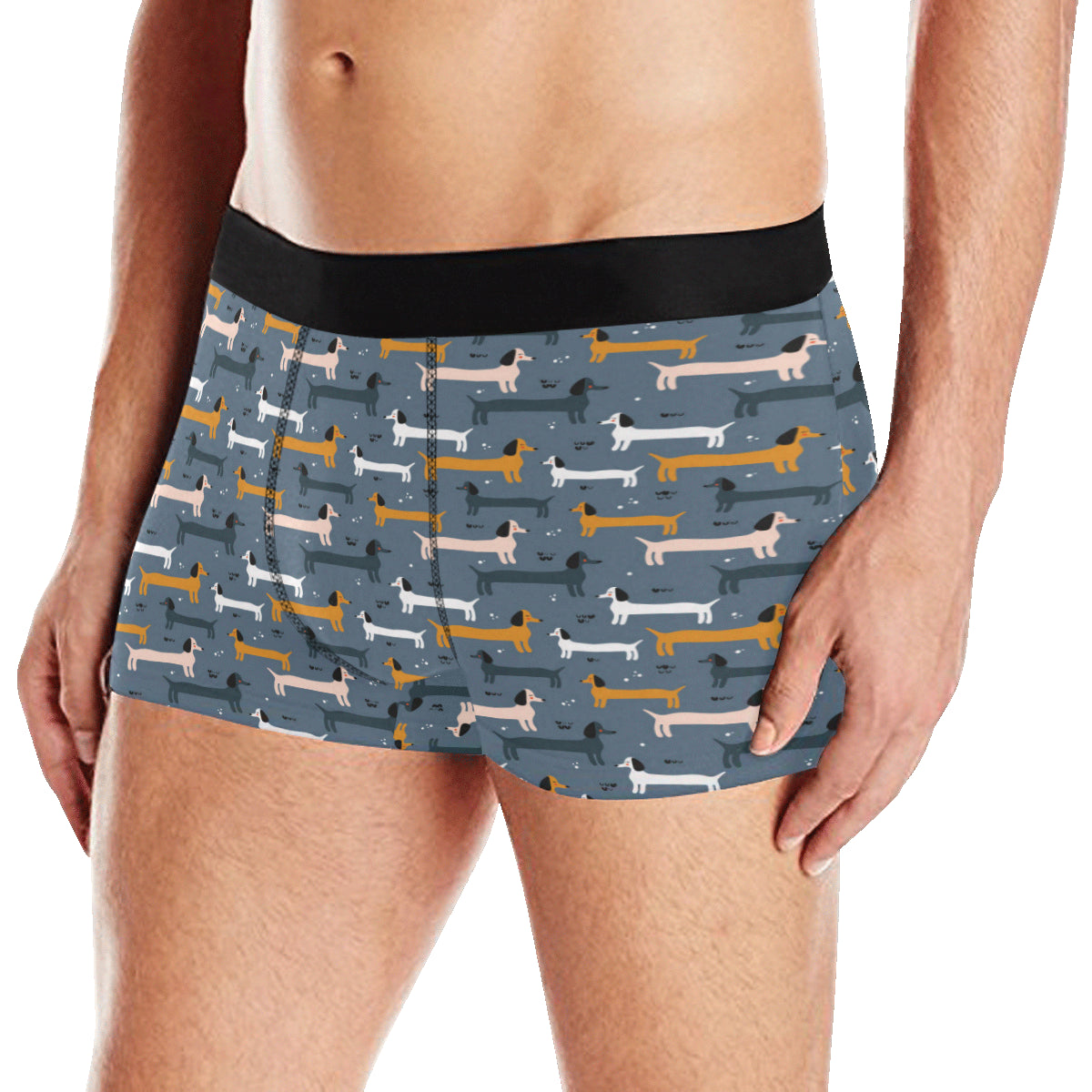 Dachshund Pattern Print Design 012 Men's Boxer Briefs