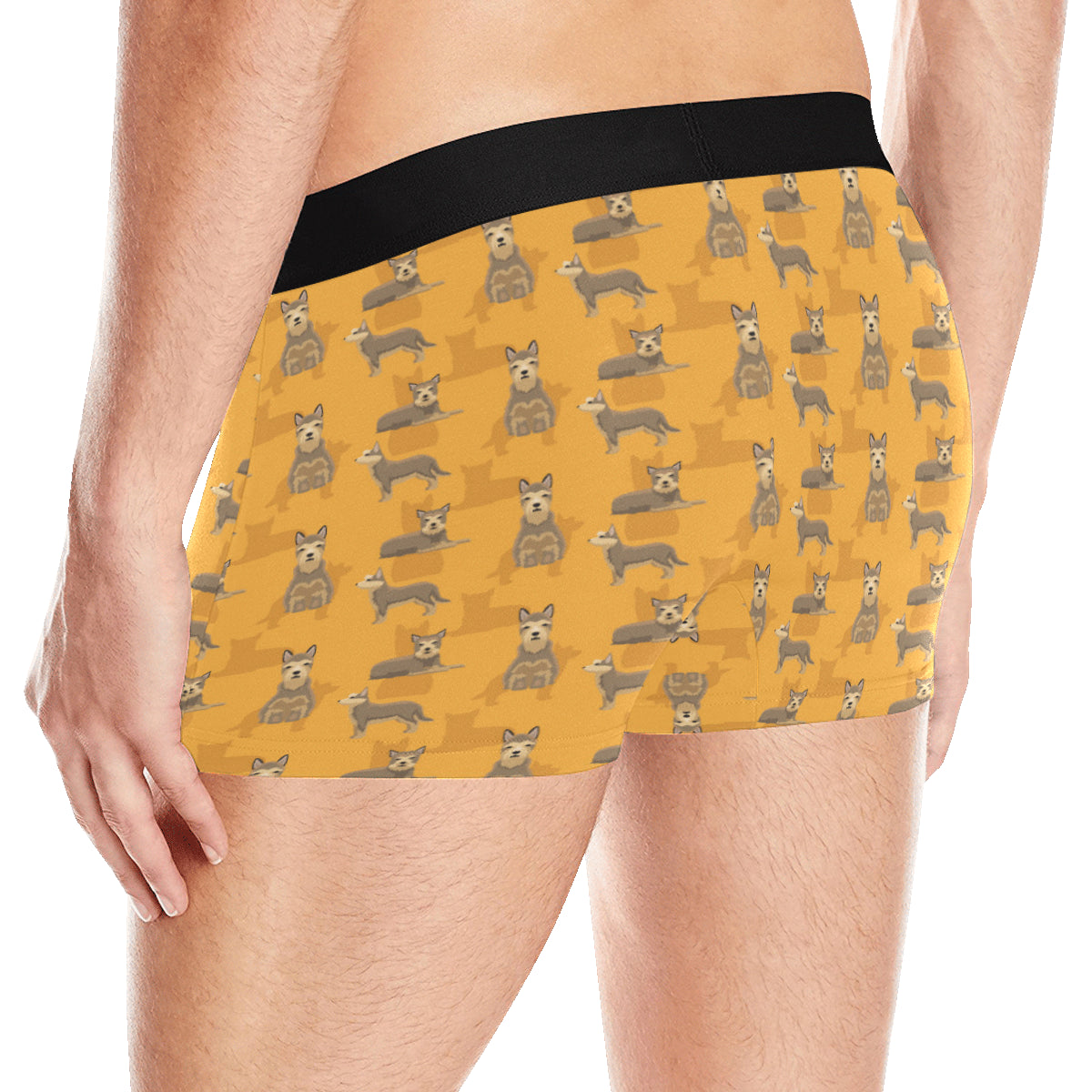 Berger Picard Pattern Print Design 01 Men's Boxer Briefs