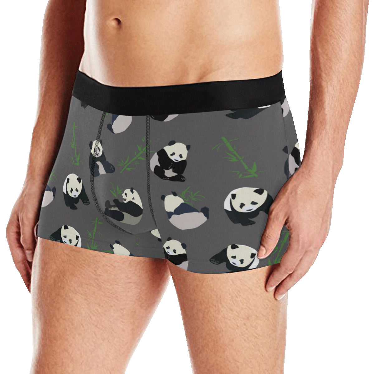 Panda Pattern Print Design A06 Men's Boxer Briefs