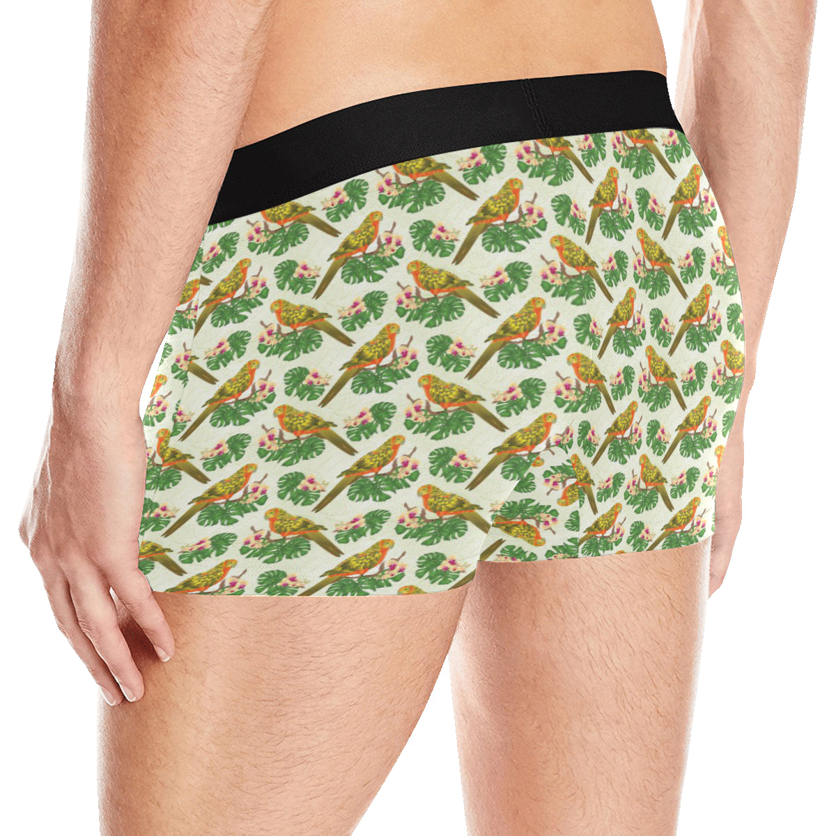 Conures Pattern Print Design 01 Men's Boxer Briefs