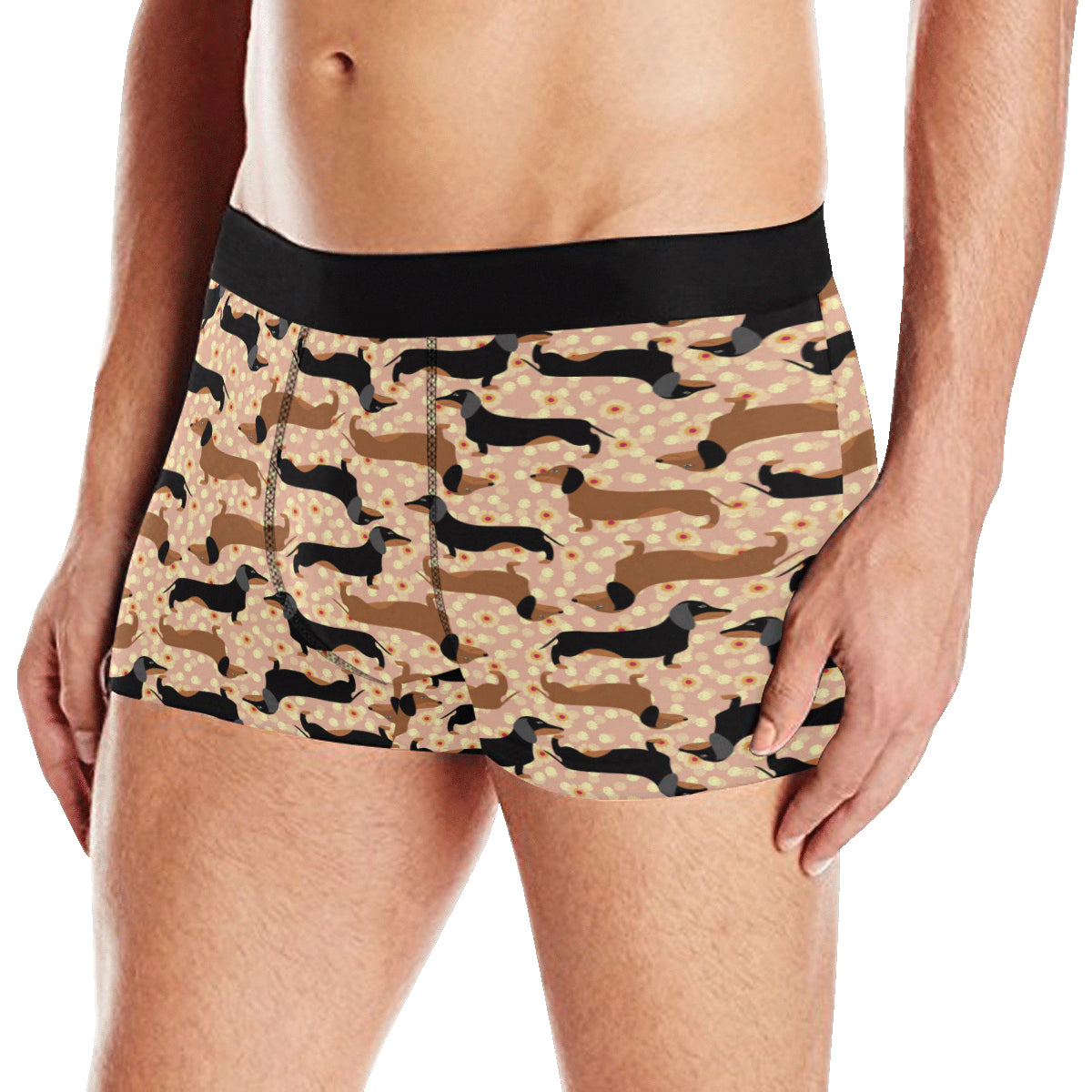 Dachshund Pattern Print Design 011 Men's Boxer Briefs