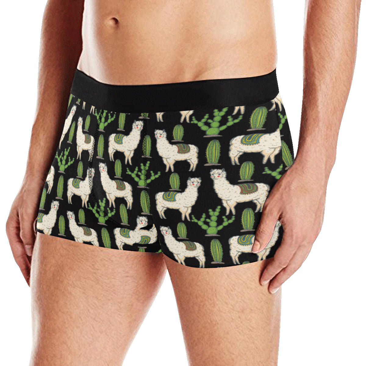 Llama Cactus Pattern Print Design 011 Men's Boxer Briefs