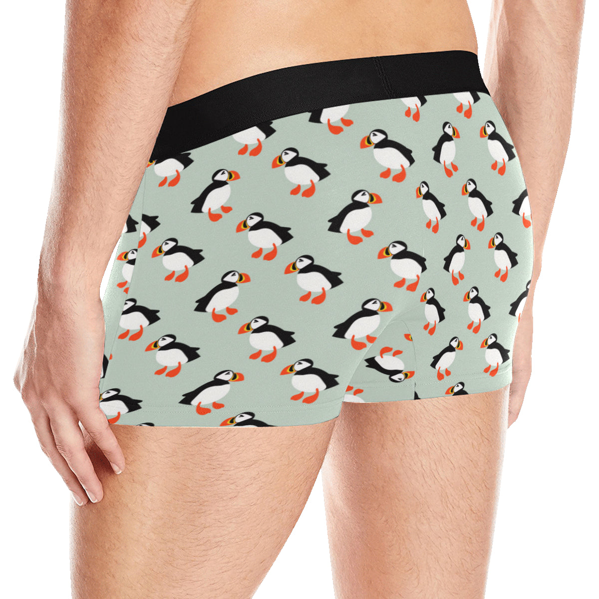 Puffin Pattern Print Design A03 Men's Boxer Briefs
