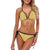 Dollar Pattern Print Design DO03 Bikini