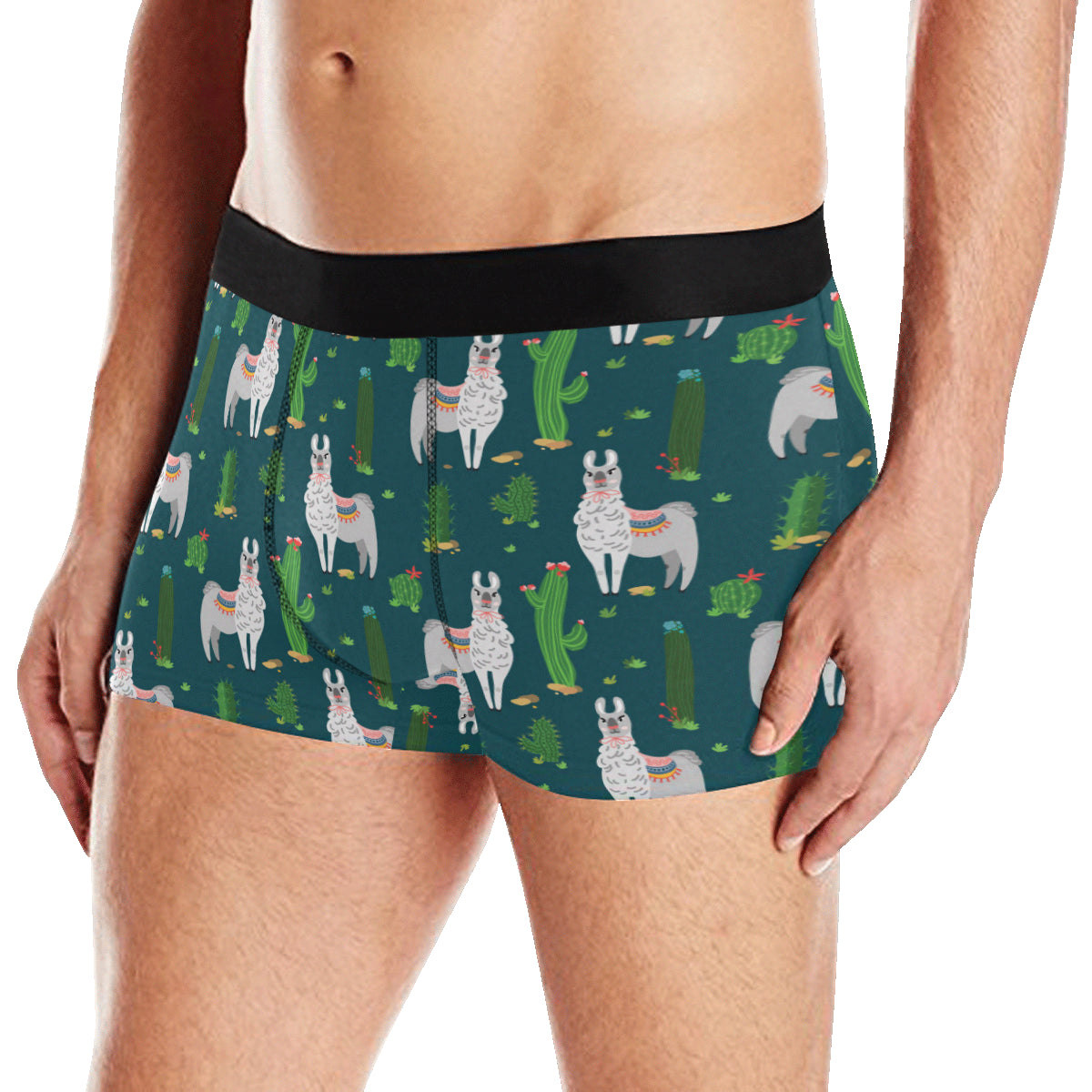 Llama Cactus Pattern Print Design 013 Men's Boxer Briefs