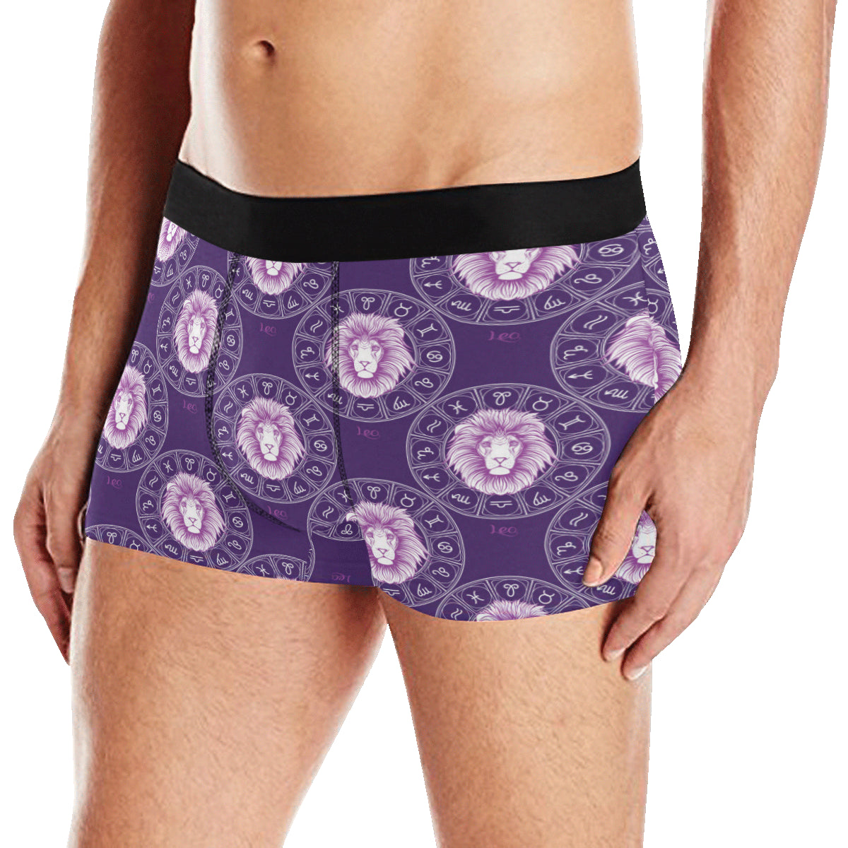 Leo Pattern Print Design 04 Men's Boxer Briefs