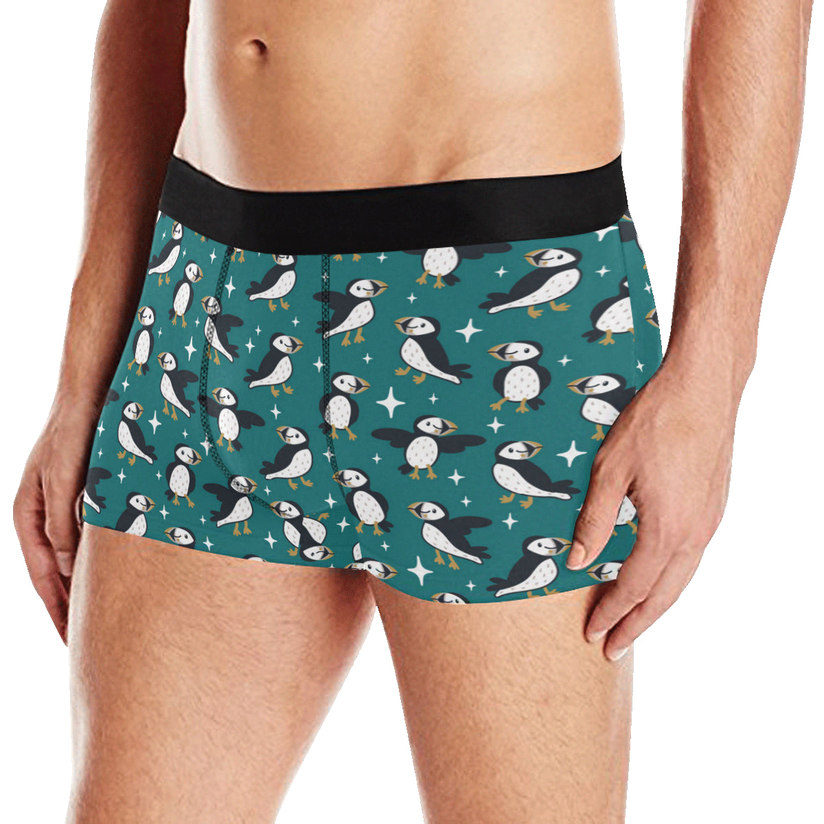 Puffin Pattern Print Design A05 Men's Boxer Briefs