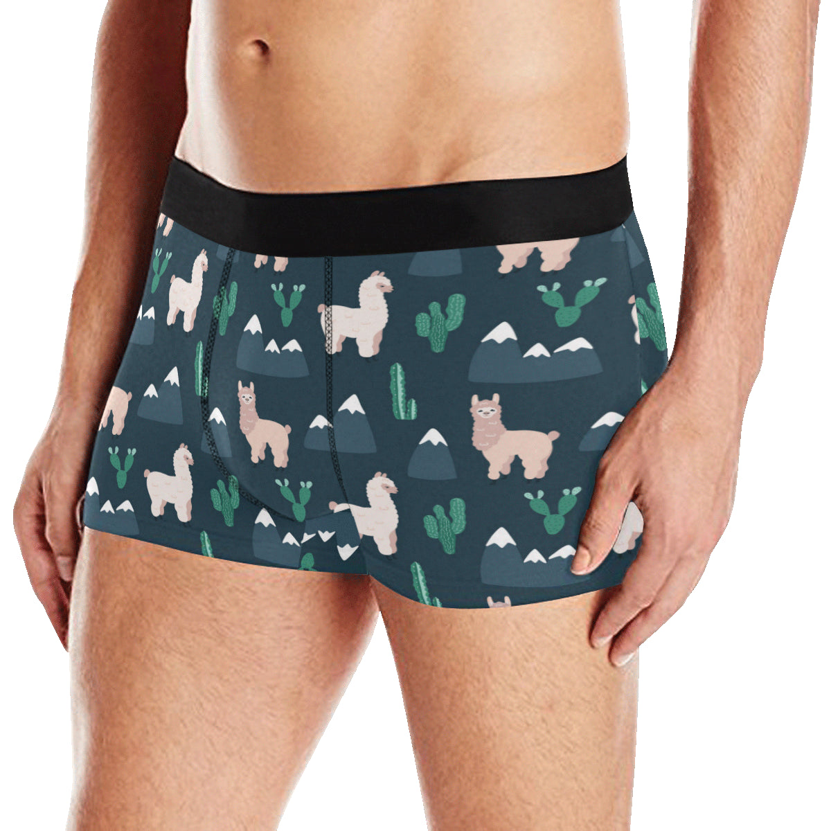 Llama Pattern Print Design 06 Men's Boxer Briefs