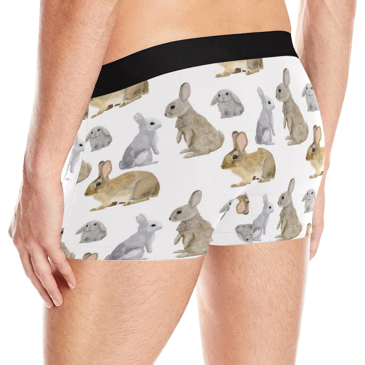 Rabbit Pattern Print Design 02 Men's Boxer Briefs