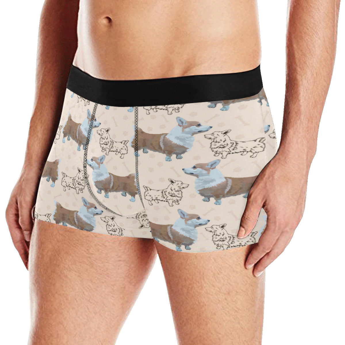 Pembroke Welsh Corgis Pattern Print Design A03 Men's Boxer Briefs