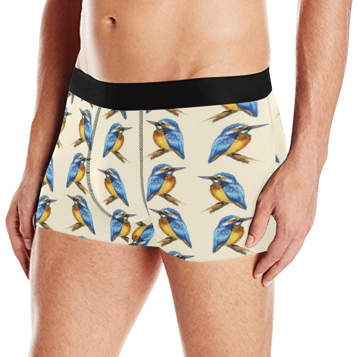 Kingfisher Pattern Print Design 01 Men's Boxer Briefs
