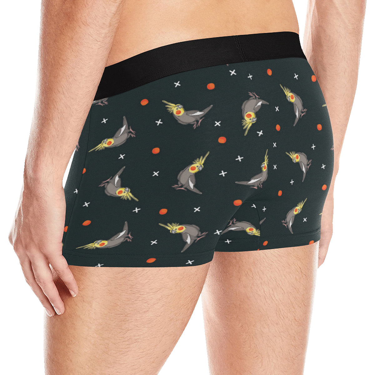 Cockatiel Pattern Print Design 02 Men's Boxer Briefs
