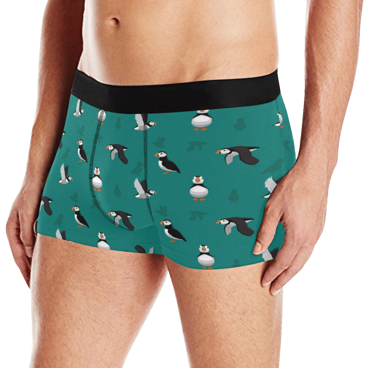 Puffin Pattern Print Design A02 Men's Boxer Briefs
